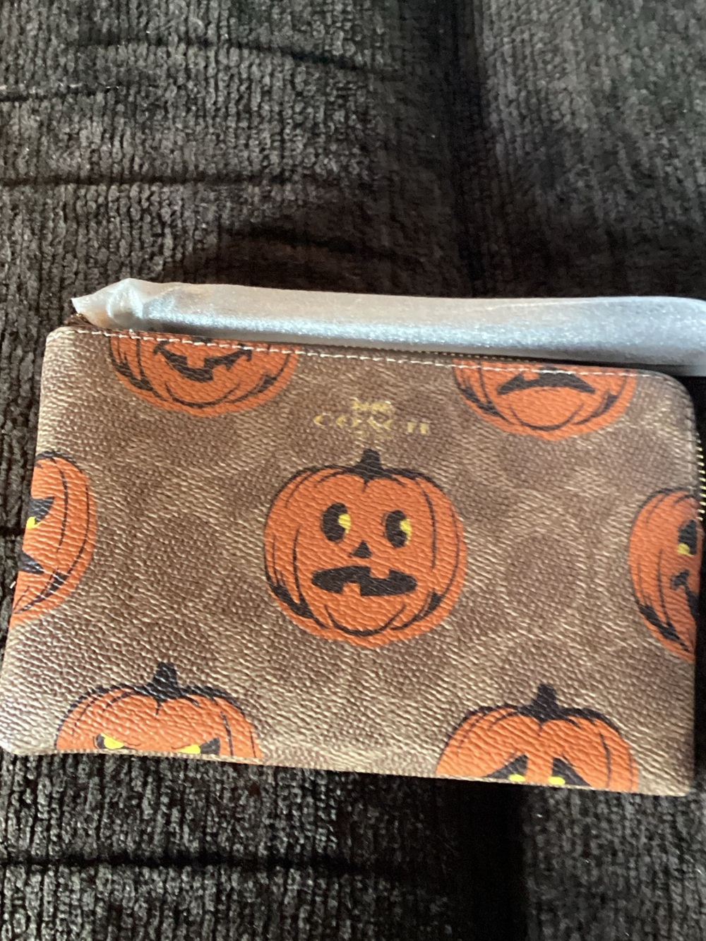 Coach Pumpkin Print Zip Pouch — Brown/Orange